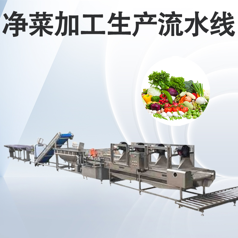 一级看片免费视频怎么布局？